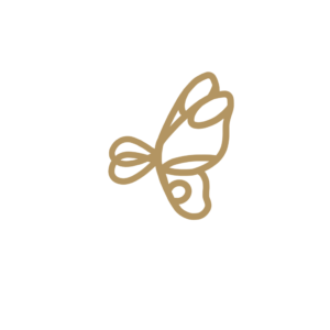 Vlindervleugels
